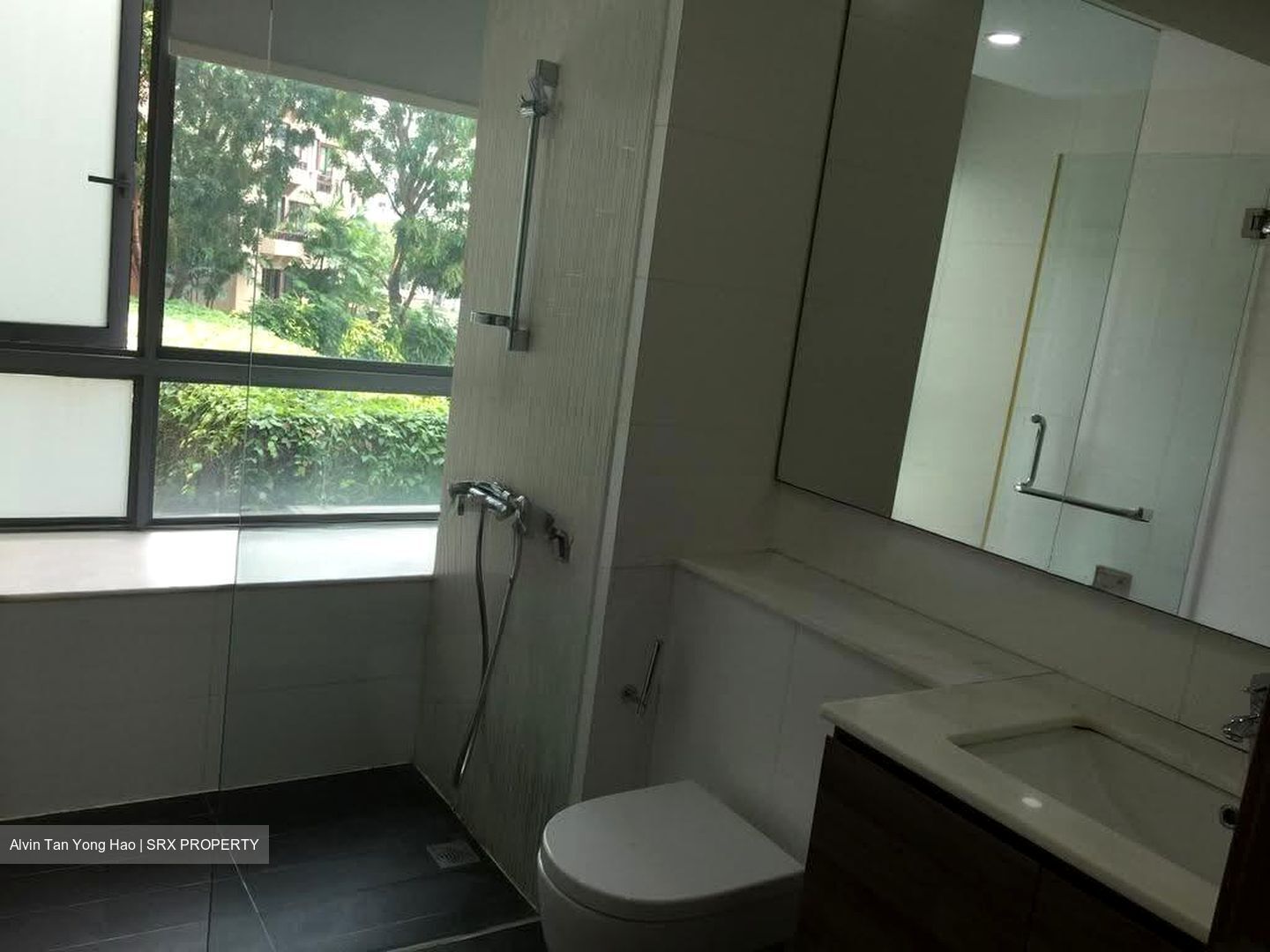 Double Bay Residences (D18), Condominium #619564441